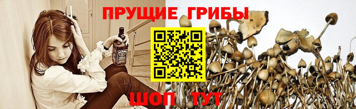 Галлюциногенные грибы ЛСД Тихвин