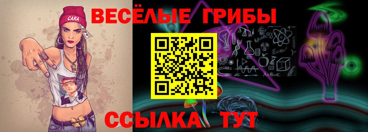 Галлюциногенные грибы ЛСД  Вход с VPN  Тихвин 
